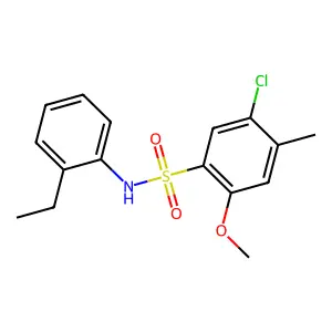 5-chloro-N-(2-ethylphenyl)-2-methoxy-4-methylbenzenesulfonamide structure