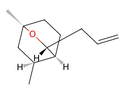 2-Oxabicyclo(2.2.2)octane, 1,5-dimethyl-3-(2-propenyl)- structure