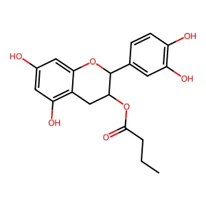 J1.969.053I structure