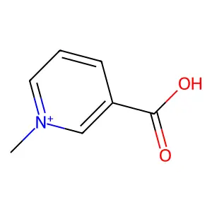 3-Carboxy-1-methylpyridinium structure
