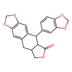 Polygamain structure