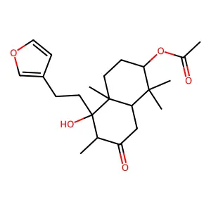 Calyone structure