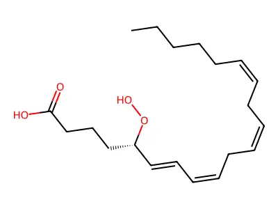 5-羟过氧化二十碳四烯酸 structure