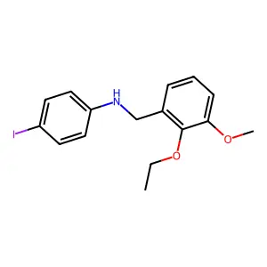 N-[(2-ethoxy-3-methoxyphenyl)methyl]-4-iodoaniline structure