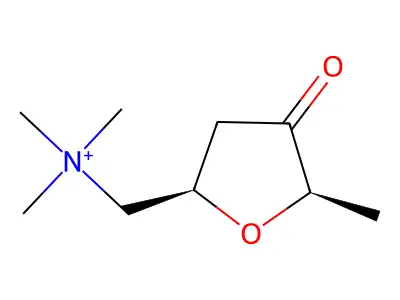 Muscarone structure