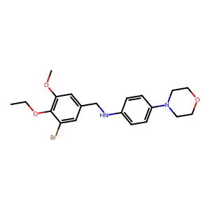 (3-Bromo-4-ethoxy-5-methoxybenzyl)[4-(4-morpholinyl)phenyl]amine structure