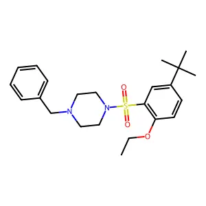 1-Benzyl-4-(5-tert-butyl-2-ethoxyphenyl)sulfonylpiperazine structure