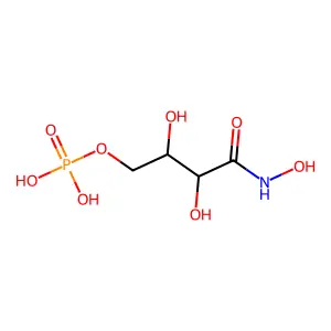 2,3-Dihydroxy-4-(hydroxyamino)-4-oxobutyl dihydrogen phosphate structure
