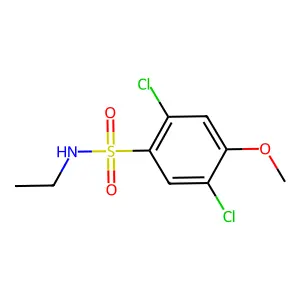 2,5-dichloro-N-ethyl-4-methoxybenzenesulfonamide structure