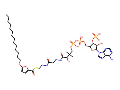 2-(4-乙酰氨基-3,5-二甲基苯氧基)乙酸 structure