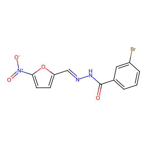 3-bromo-N'-({5-nitro-2-furyl}methylene)benzohydrazide structure