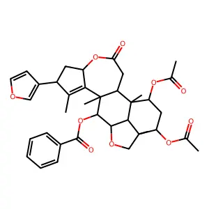 Ohchinolid A structure