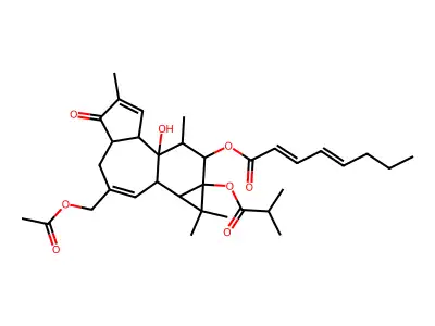 DEOXYPHORBOL,E)-2,4- structure