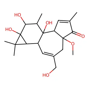 4-(Benzenesulfonyl)-1-phenylbutane-1,3-dione structure