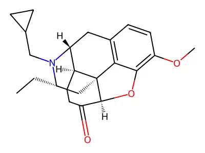Conorfone structure