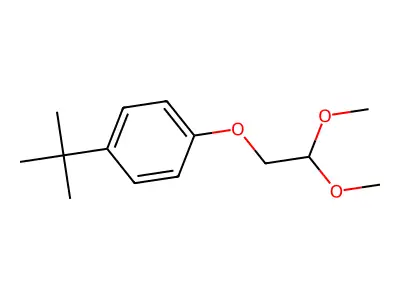 Benzene, 1-(2,2-dimethoxyethoxy)-4-(1,1-dimethylethyl)- structure