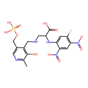 alpha-N-fluorodinitrophenyl-beta-N-phosphopyridoxyldiaminopropionate structure