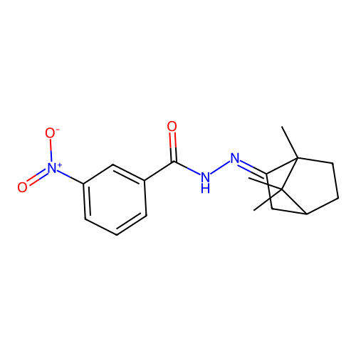3-nitro-N'-(1,7,7-trimethylbicyclo[2.2.1]hept-2-ylidene)benzohydrazide structure