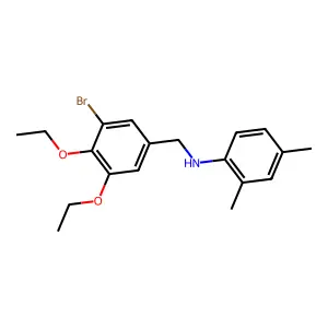 N-(3-bromo-4,5-diethoxybenzyl)-2,4-dimethylaniline structure