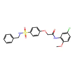 2-{4-[(benzylamino)sulfonyl]phenoxy}-N-(5-chloro-2-methoxyphenyl)acetamide structure