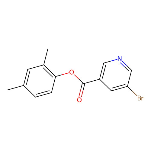 2,4-Dimethylphenyl 5-bromonicotinate structure