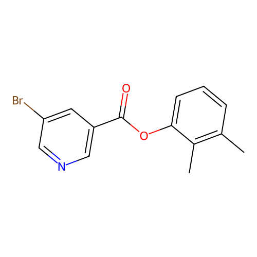 2,3-Dimethylphenyl5-bromonicotinate structure