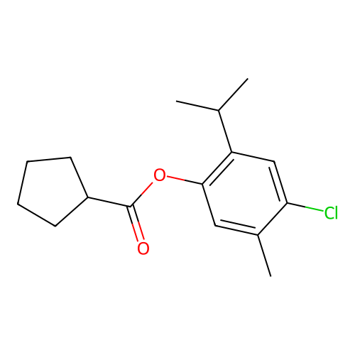 4-Chloro-2-isopropyl-5-methylphenyl cyclopentanecarboxylate structure