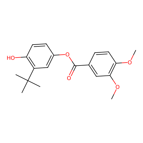 3-Tert-butyl-4-hydroxyphenyl 3,4-dimethoxybenzoate structure