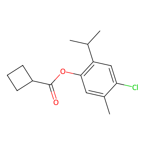 4-Chloro-2-isopropyl-5-methylphenyl cyclobutanecarboxylate structure