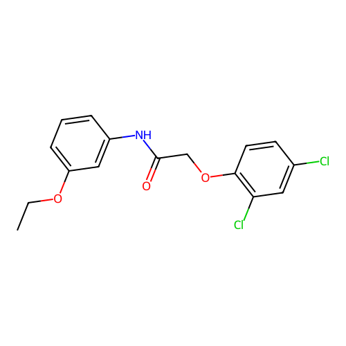 2-(2,4-dichlorophenoxy)-N-(3-ethoxyphenyl)acetamide structure