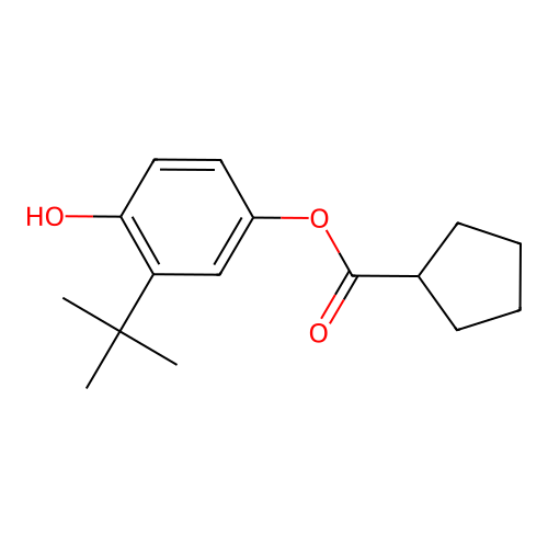 3-Tert-butyl-4-hydroxyphenylcyclopentanecarboxylate structure