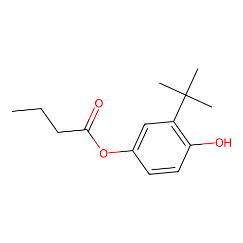 3-Tert-butyl-4-hydroxyphenyl butyrate structure
