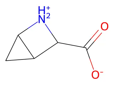 2-Azoniabicyclo[2.1.0]pentane-3-carboxylate structure