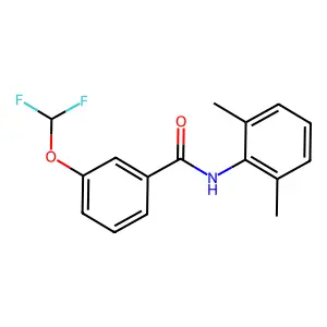 3-(difluoromethoxy)-N-(2,6-dimethylphenyl)benzamide structure