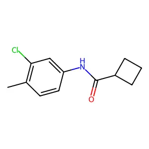 N-(3-chloro-4-methylphenyl)cyclobutanecarboxamide structure