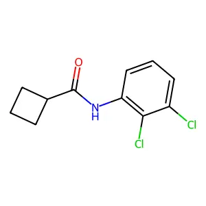 N-(2,3-dichlorophenyl)cyclobutanecarboxamide structure