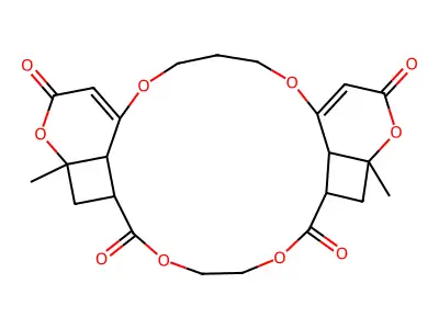 J1.844.928E structure
