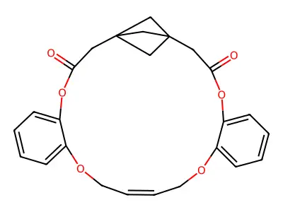 19,22-Dihydro-9H-8,10:8,10-dimethanodibenzo[b,j][1,4,9,12]tetraoxacyclononadecine-6,12(7H,11H)-dione structure