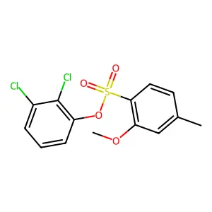 2,3-Dichlorophenyl 2-methoxy-4-methylbenzenesulfonate structure