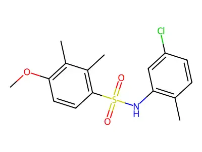 N-(5-chloro-2-methylphenyl)-4-methoxy-2,3-dimethylbenzenesulfonamide structure