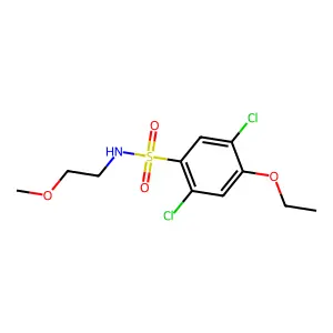 2,5-dichloro-4-ethoxy-N-(2-methoxyethyl)benzenesulfonamide structure