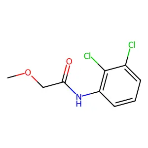 N-(2,3-dichlorophenyl)-2-methoxyacetamide structure