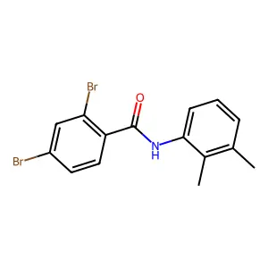 2,4-dibromo-N-(2,3-dimethylphenyl)benzamide structure