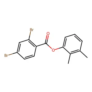 2,3-Dimethylphenyl 2,4-dibromobenzoate structure