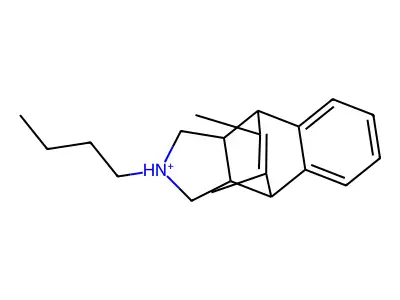 2-Butyl-10,11-dimethyl-2,3,3a,4,9,9a-hexahydro-1H-4,9-ethenobenzo[f]isoindol-2-ium structure