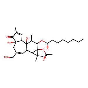 Octanoic acid, 9a-(acetyloxy)-1a,1b,4,4a,5,7a,7b,8,9,9a-decahydro-4a,7b-dihydroxy-3-(hydroxymethyl)-1,1,6,8-tetramethyl-5-oxo-1H-cyclopropa(3,4)benz(1,2-e)azulen-9-yl ester, (1aR-(1aalpha,1bbeta,4abeta,7aalpha,7balpha,8alpha,9beta,9aalpha))- structure