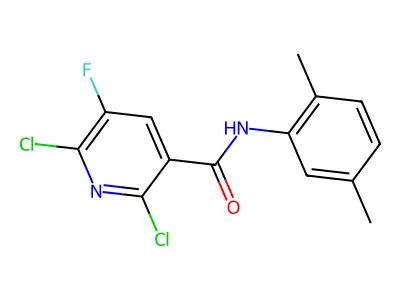 2,6-dichloro-N-(2,5-dimethylphenyl)-5-fluoronicotinamide structure