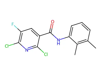 2,6-dichloro-N-(2,3-dimethylphenyl)-5-fluoronicotinamide structure