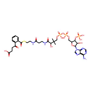 辅酶A,S-(2-(3-羧基-1-氧代丙基)苯甲酸酯) structure