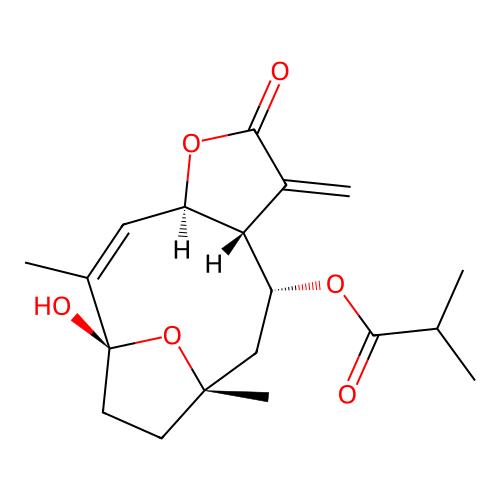 Diversifolin structure